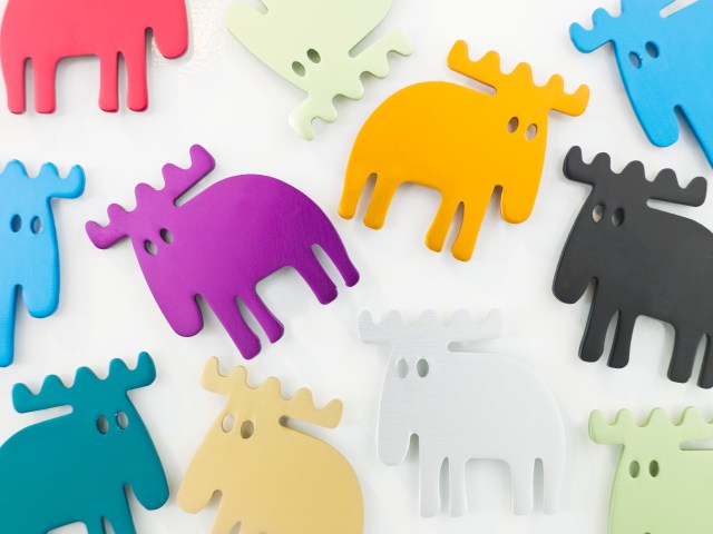 Lovely MOZ in happy colours