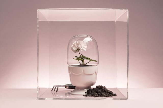 5017186_cube_green_b