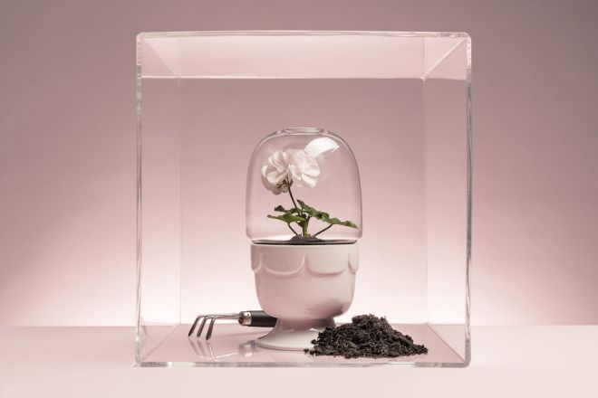 5017186_cube_green_b