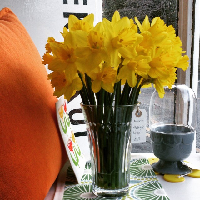 Love Daffodils!