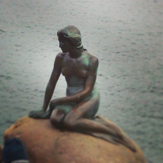 IMG_20151107_192747.jpg image