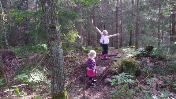 IMG_20160708_181327105