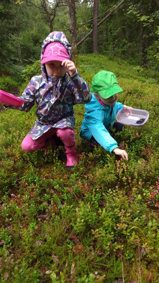 IMG_20160713_114944071