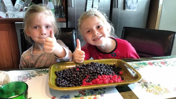 IMG_20160713_124930470